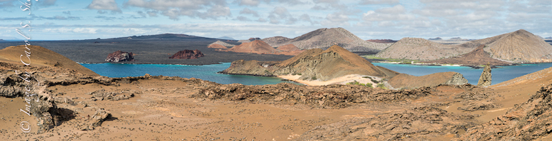 Galapagos Panorama 84-98-98